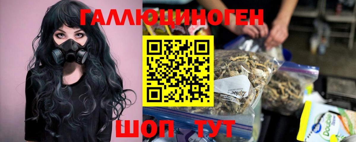 Псилоцибиновые грибы Psilocybe Ирбит